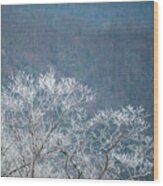Hoarfrost Collects On Branches Wood Print