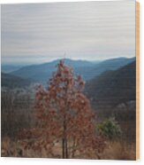 Hoarfrost On Fall Leaves Wood Print