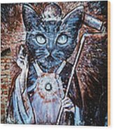 Holy Cat, Wall Painting In Bariloche, Argentina Wood Print