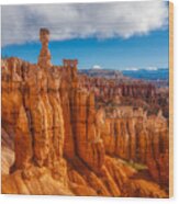 Hoodoos Of Bryce Canyon National Park Wood Print