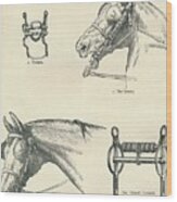 Horse Bits, Good And Bad, C1909 C1910 Wood Print
