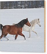 Horses Crossing Snowy Field In Sunlight Wood Print