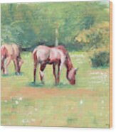 Horses In The Fields Wood Print