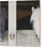 Horses Leaning Over Stable Doors Wood Print