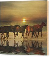 Horses On A Golden Beach At Sunset Wood Print
