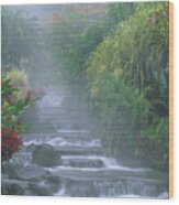 Hot Spring Cascade  From Tabacon Hot Wood Print