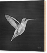 Hummingbird Flyby Square Wood Print