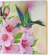 Hummingbird On Pink Blossom Wood Print