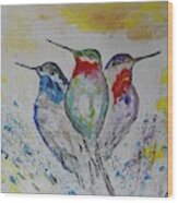 Hummingbirds 3 Wood Print