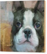 I Adore You Boston Terrier Art Wood Print
