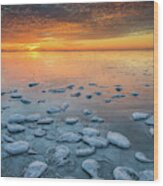 Ice At Sunrise Wi8709 Wood Print