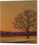 Ice-glazed Twin Oak Sunset - Near Oregon Wi Wood Print