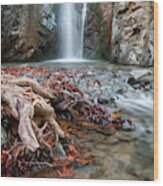 Idyllic Waterfall In Autumn Wood Print