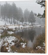 Idyllic Winter Forest Landscape  At Troodos Mountains, Cyprus Wood Print