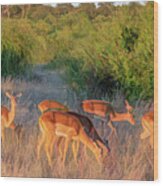 Impalas Of Botswana, Painterly Wood Print