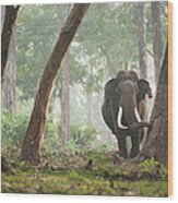 Indian Elephant Wood Print