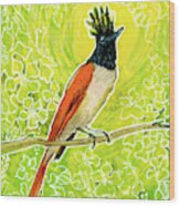 Indian Paradise Flycatcher Tropical Bird Wood Print