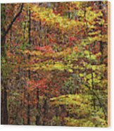 Indian Summer At Sweetwater Creek State Park Wood Print