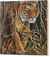 Intense Tiger 2 Wood Print