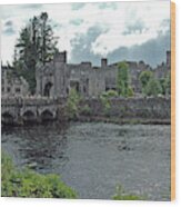 Irish Castle Wood Print