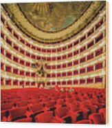 Italy, Campania, Napoli District, Naples, Teatro (theatre, Opera House) San Carlo, The Seats In The Auditorium, On The Background The Palco Reale (royal Box) Wood Print