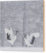 Japanese Cranes Wood Print
