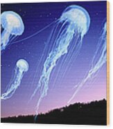 Jellyfish In Night Sky Wood Print