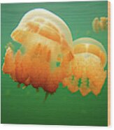 Jellyfish Love Wood Print