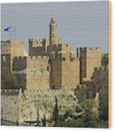 Jerusalem, Israel -  City Of David Wood Print