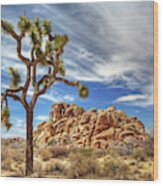 Joshua Tree In Joshua Tree National Park Wood Print