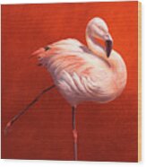 Jp485 Flame Bird Flamingo Wood Print