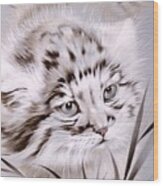 Jungle Cat 1 Wood Print