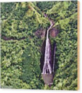 Jurassic Park Waterfall Wood Print