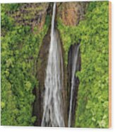 Kauai Waterfall Fan Wood Print