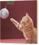 Kitten Playing With Christmas Bauble On Wood Print