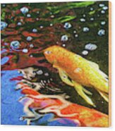 Koi Pond Fish - Glamorous Surprises - By Omaste Witkowski Wood Print