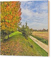 Landscape In Bavaria Wood Print