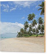 Landscape Of A Tropical Beach In Brazil Wood Print