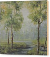 Landscape Of The Great Swamp Of New Jersey With Pond Wood Print