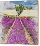 Lavender Fields - 07 Wood Print