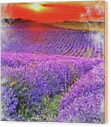 Lavender Fields - 11 Wood Print