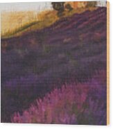 Lavender Fields - 13 Wood Print