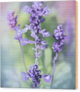 Lavender In Blue Wood Print