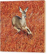 Leaping Deer Wood Print