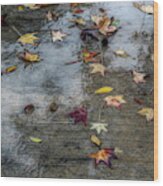 Leaves In The Rain Wood Print