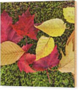 Leaves On Moss Wood Print