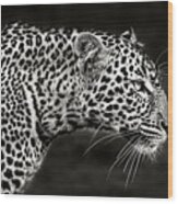 Leopard Close Up Wood Print