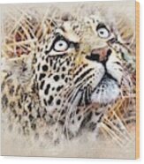 Leopard Looking Up Wood Print