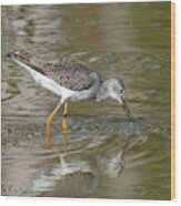 Lesser Yellowlegs Sandpiper Dmsb0195 Wood Print