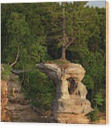 Life Will Find A Way - Pine Tree Atop Chapel Rock At Pictured Rocks National Lakeshore With Bald Eag Wood Print